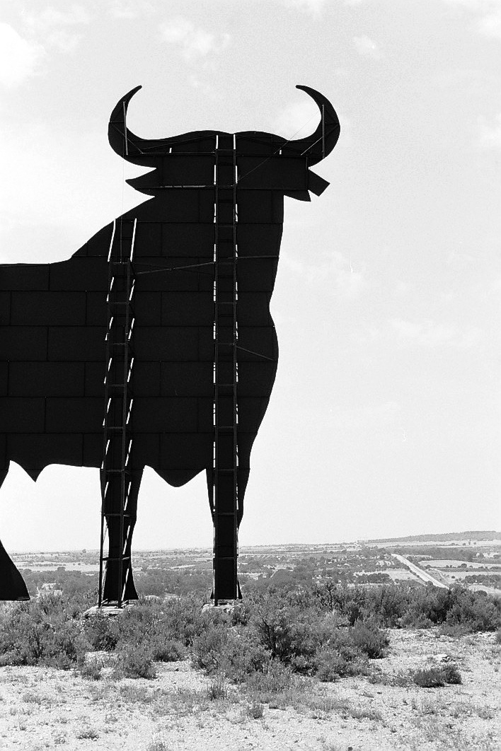 Harbel Photography, The Others - Half bull. Half Spanish Bull. Vera Fotografia