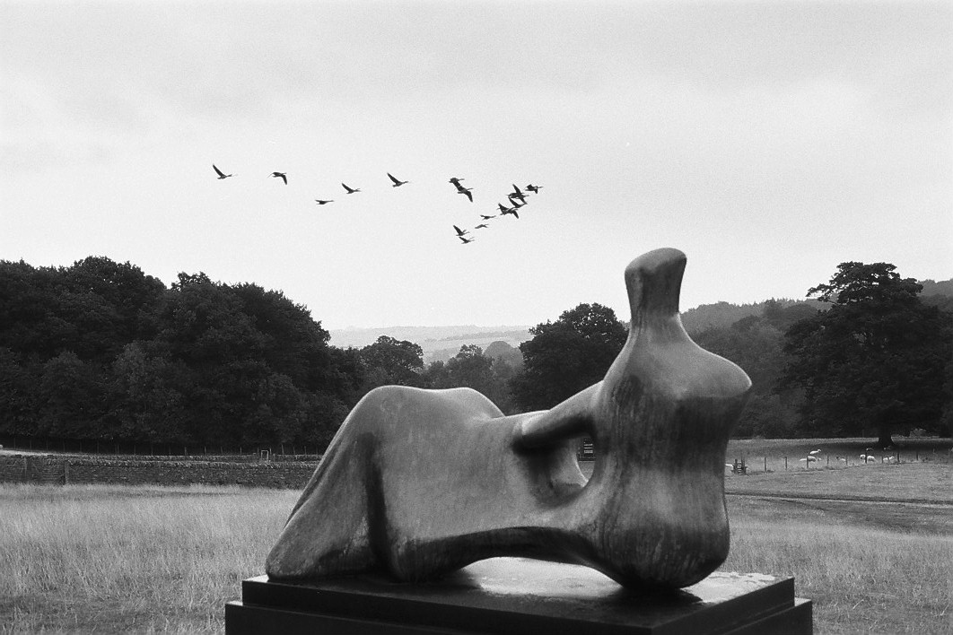 Harbel Photography, The Birds - Henry Moore. Ducks and Henry Moore. Vera Fotografia
