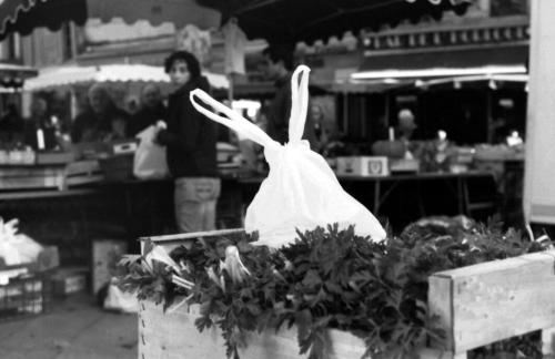 The White Rabbit Homage a Marc Riboud