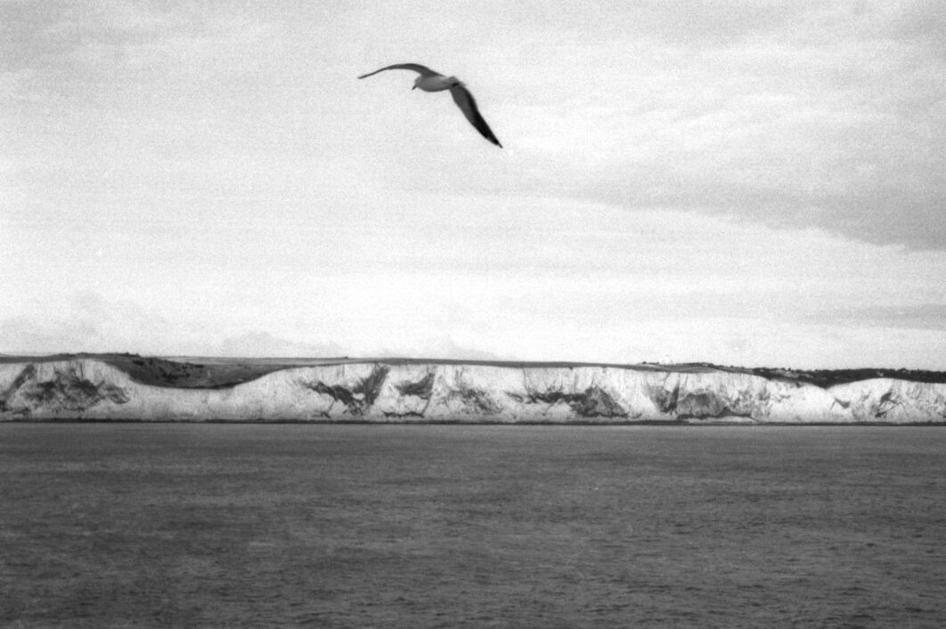 Harbel Photography, The Birds - White cliffs. White cliffs. Vera Fotografia